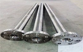 Titanium forgings